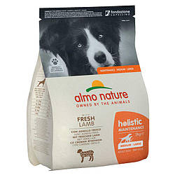 Almo Nature Holistic Dog M-L — Сухий корм дорослих собак середніх і великих порід зі свіжим ягням 2 кг