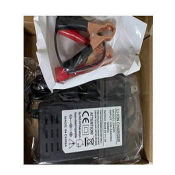 IdeaPro "Зарядний пристрій 29420 220В AC -> 25V DC для Li-Ion АКБ"