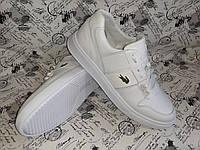 Lacoste мужские кожаные кроссовки кеды белые