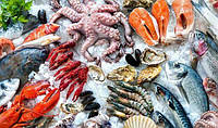 Незамінна користь морепродуктів для організму людини