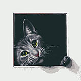 Комплект картин за номерами Riviera Blanca Пухнасті друзі (ITR-023) 2 шт в наборі, фото 2