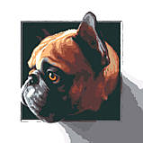 Комплект картин за номерами Riviera Blanca Пухнасті друзі (ITR-023) 2 шт в наборі, фото 3