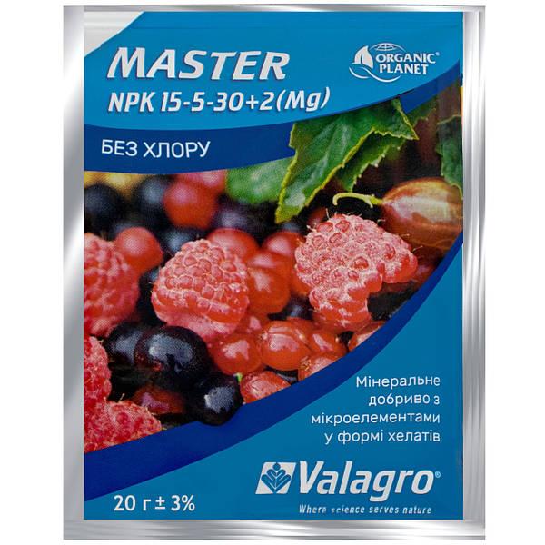 Master Майстер, 25 г, NPK International30+2. Valagro (Валагро)