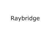 Оптичний модуль RayBridge SFP 1.25G BIDI 3KM TX1310/RX1550 SC (SFP-W31-03DS)