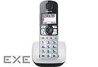 Радиотелефон DECT Panasonic Silver (KX-TGE510RUS)