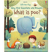 Lift-the-Flap First Questions and Answers What is Poo?