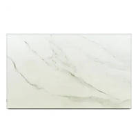 Керамічна електронагрівальна панель із терморегулятором Teploceramic TCM-RA1000-800179