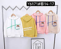 Детская кофта с капюшоном для девочки МИШКА трикотаж размер 6-10 лет, цвет уточняйте при заказе