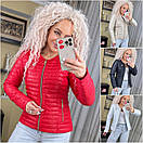 Повсякденна жіноча куртка. Коротка демісезонна жіноча курточка батал. Жіноча куртка весна "Sanny" р. 44-72, фото 5
