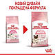 Сухий корм для котенят до 4 місяців MOTHER&BABYCAT 2 кг, до 4-х месяцев, фото 2