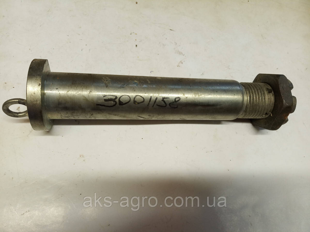 3001158 Болт шарніру загартований pr.40-205/M36 FARMET