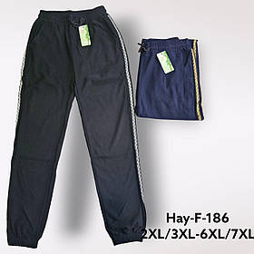 Спортивні штани жіночі оптом, 2XL/3XL-6XL/7XL pp,  № Hay-F-186