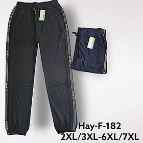 Спортивні штани жіночі оптом, 2XL/3XL-6XL/7XL pp,  № Hay-F-182