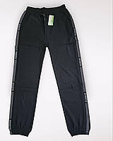 Спортивні штани жіночі оптом, 2XL/3XL-6XL/7XL pp,  № Hay-F-182, фото 2