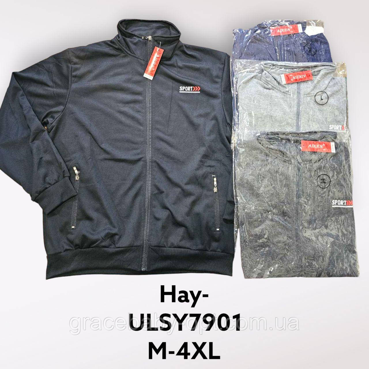 Пайта чоловіча оптом, M-4XL рр, № Hay-ULSY7901