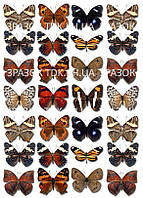 Метелики 003 друк на вафельному папері