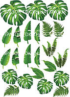 Природа 004 друк на вафельному папері