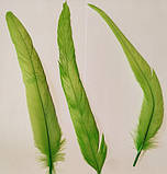 Перо півня натуральне Колір Салатовий 20-30 см, фото 8