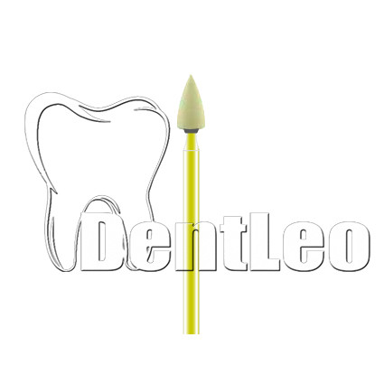 КЕРАМІЧНИЙ ПОЛІР ДЛЯ ЦИРКОНІЮ Diang Fong - DY010EF