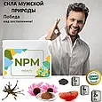 "NPM" (Урсул Візіон) — сечостатева система (Ursul VISION), фото 8