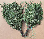 Віник береза оптом 2025 у сітці, фото 8