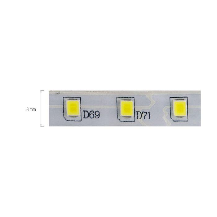 Світлодіодна стрічка REN синя 12V DC IP65 HOROZ ELECTRIC 081-001-0001-051