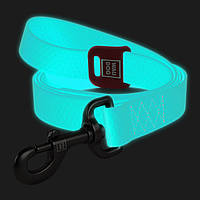 Поводок для собак водостойкий WAUDOG Waterproof, светящийся, ментоловый, размер: L ширина 25 мм, длина 183 см