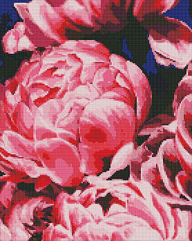 Алмазна мозаїка по номерам на холсті 40*50см Идейка АМО7085 Оксамитові півонії