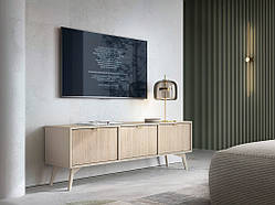 Тумба під телевізор Forest RTV158