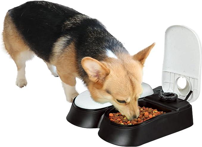 Pawise pet feeder cheap