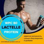 КСБ-УФ 80% сывороточный протеиновый концентрат Польша Lactelle