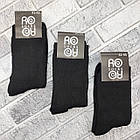 Шкарпетки чоловічі високі зимові з махрою р.41-45 чорні ROOY Дукат 30038191, фото 2