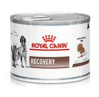 Лечебные консервы Royal Canin Recovery для собак и котов, 195 г