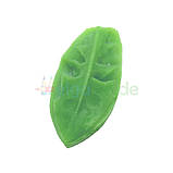 Молд пластиковий ЛИСТ КУЛЬБАБИ, 7х3 см, фото 2