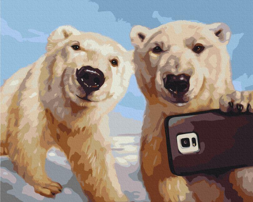 Картина за номерами BrushMe Полярограм ©Lucia Heffernan (BSM-B53479) 40 х 50 см