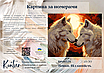 Картина за номерами 40×50 см Kontur. Пара вовків. Відданність DS0528, фото 3