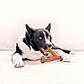 Жувальна іграшка для собак зі смаком бекону Benebone - Wishbone Bacon, М, фото 8
