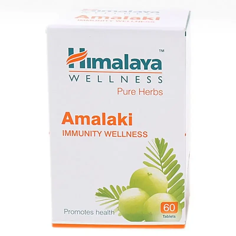 Амалаки Чурна Бад'янатх 100 г, Amlaki Churna 100 Gm Baidyanath