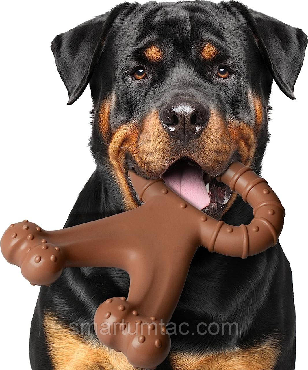 Жувальна іграшка для собак зі смаком бекону Chewworld