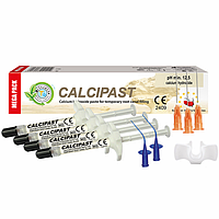 Cerkamed CALCIPAST Mega Pack 4х2.1g Кальціпаст Мега Пак 4х2.1г гідроксид кальцію у вигляді пасти