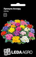 ТМ LEDAAGRO Примула Акорд F1 суміш 10шт
