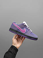 Чоловічі кросівки Nike SB Dunk Low Concepts Purple Lobster BV1310-555