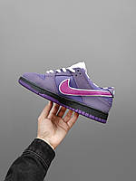 Мужские кроссовки Nike Dunk Low Concepts Purple Lobster BV1310-555 41