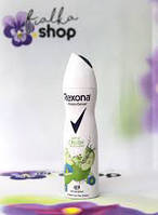 Антиперспірант-спрей "Блакитний мак та яблуко" - Rexona MotionSense Stay Fresh Antiperspirant Spray 150ml