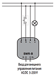 Багатофункціональний реле (таблетка) SMR-B (в монтажну коробку), фото 2