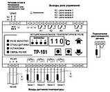 Цифрове температурне реле ТР-101, фото 2