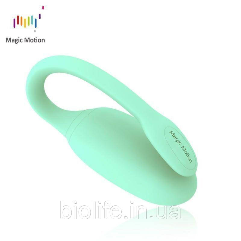 Смарт-тренажер Кегеля Magic Motion Kegel Rejuve, бюджетний варіант, для тренувань і задоволення