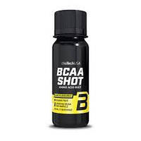 BCAA 3000 Zero carb Shot BioTech, 60 мл (ампула)