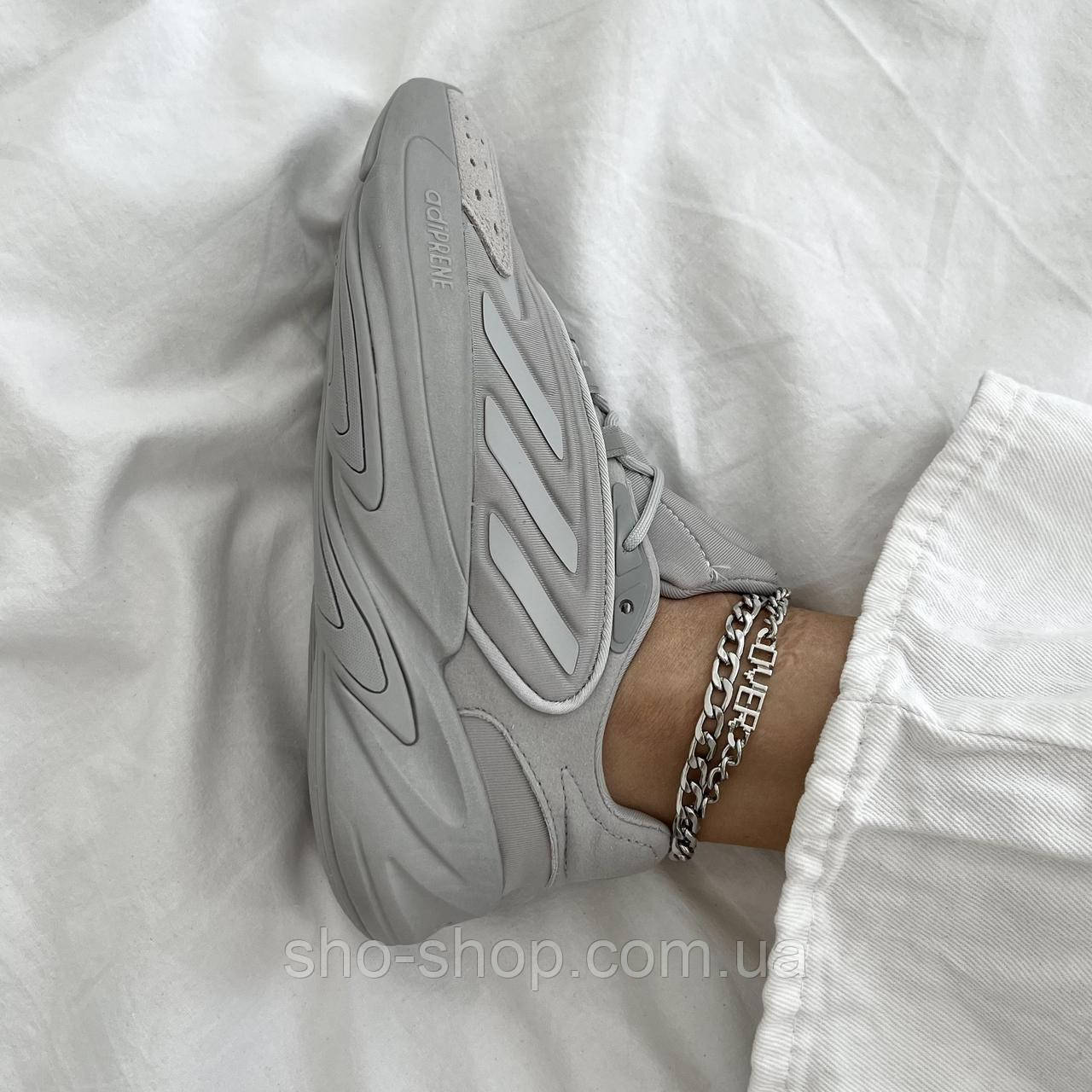 Кросівки Adidas Ozelia Grey