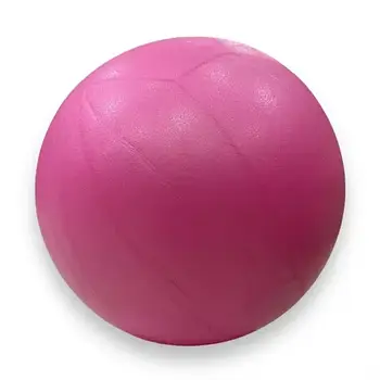 М'яч для пілатес йоги реабілітації Pilates ball Mini Gemini 25 см Рожевий